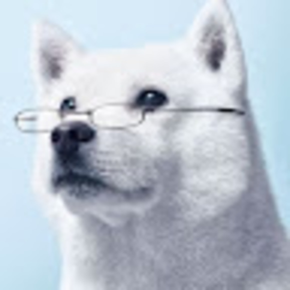 Meet your Posher, Chang - Picture 1 of 1